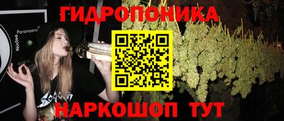 PSILOCYBIN Моздок