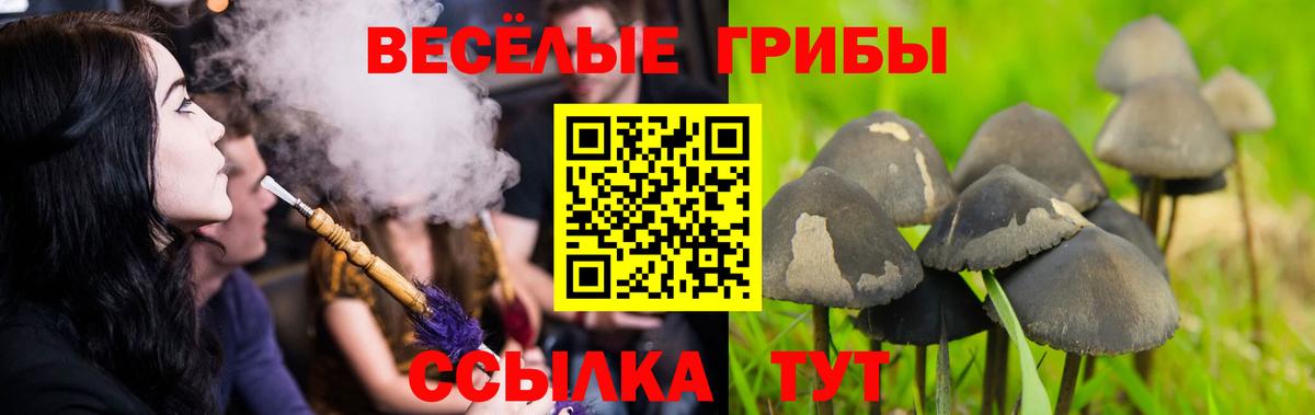 Псилоцибиновые грибы MAGIC MUSHROOMS  Галлюциногенные грибы Psilocybine cubensis  Вход с VPN  где продают   Усть-Джегута 